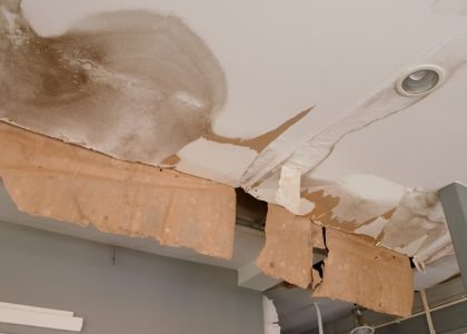 Ceiling,Panels,With,Fungus,Outside,House,From,Water,Pipes,Damaged